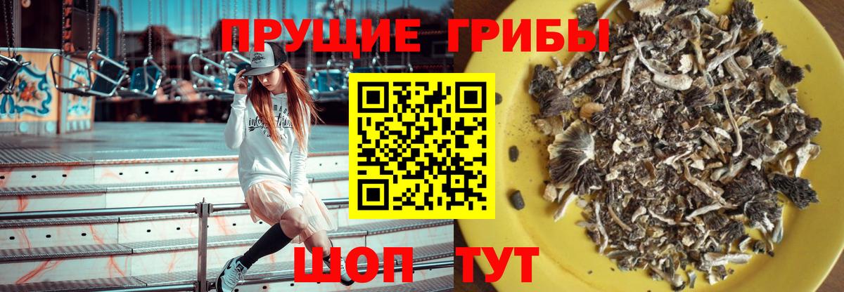 Галлюциногенные грибы Cubensis Унеча