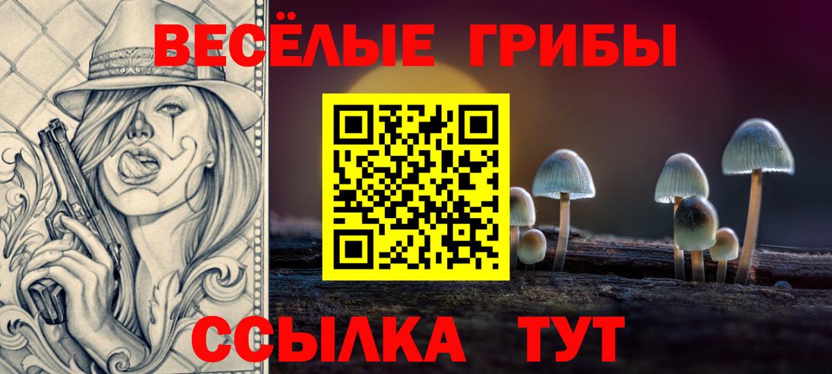 Псилоцибиновые грибы Psilocybe  Вход с VPN  Унеча  Галлюциногенные грибы мицелий 